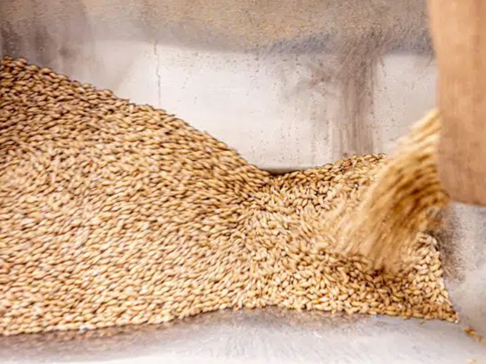 Selecting the Right Malt Grinder for Optimal Grain Crus